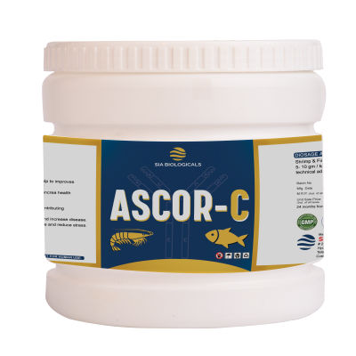Ascor-C